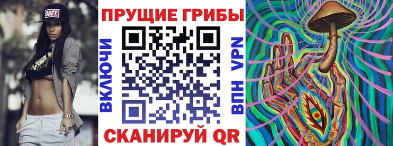 Псилоцибиновые грибы Psilocybe  Демидов 