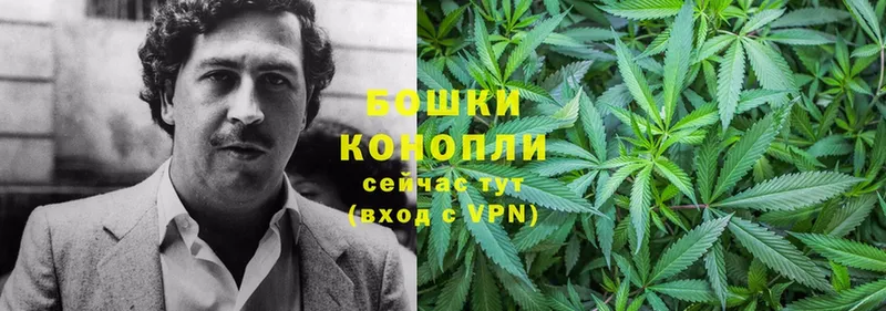 кракен   Демидов  Бошки марихуана SATIVA & INDICA 